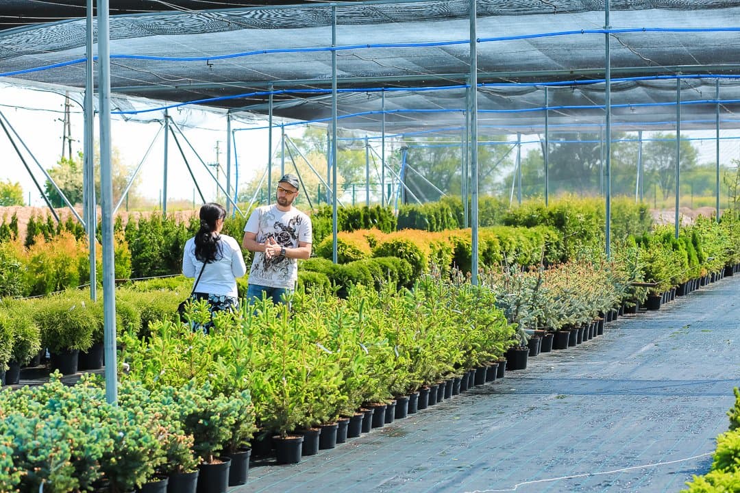 Садовый центр «Лукоморье»